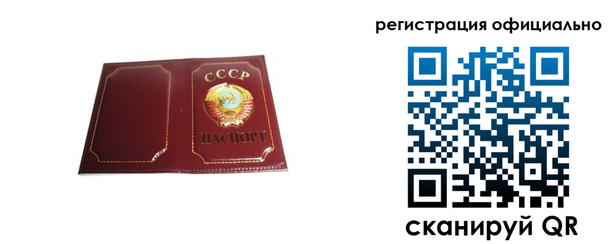 прописка в Дмитрове